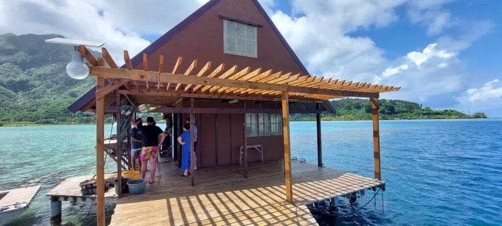 arrivee ferme perliere